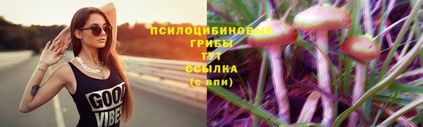 тгк Беломорск
