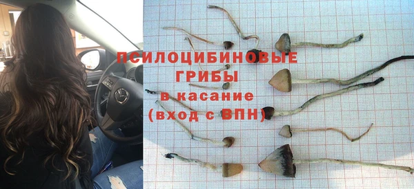 гидропоника Белоозёрский