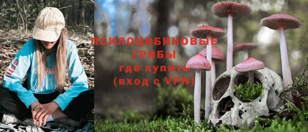 круглые Белокуриха