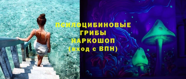 гидропоника Белоозёрский