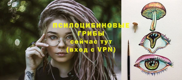 тгк Беломорск