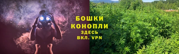 круглые Белокуриха