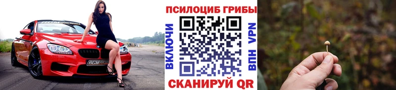 мориарти какой сайт  наркота  Усть-Илимск  Псилоцибиновые грибы Cubensis 